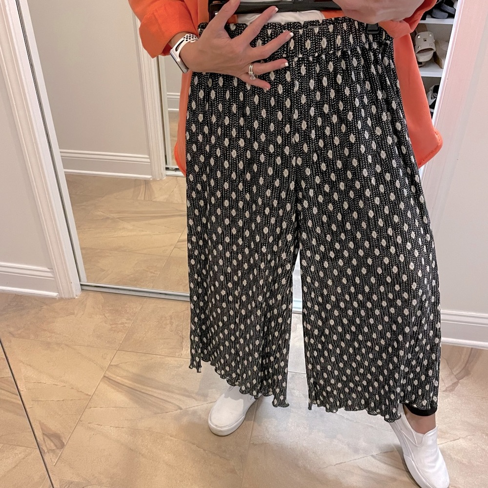 Anthropologie cropped ankle pilazzo pants small